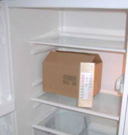 Kühlschrank mit Schildkrötenkiste und min-max-Thermometer